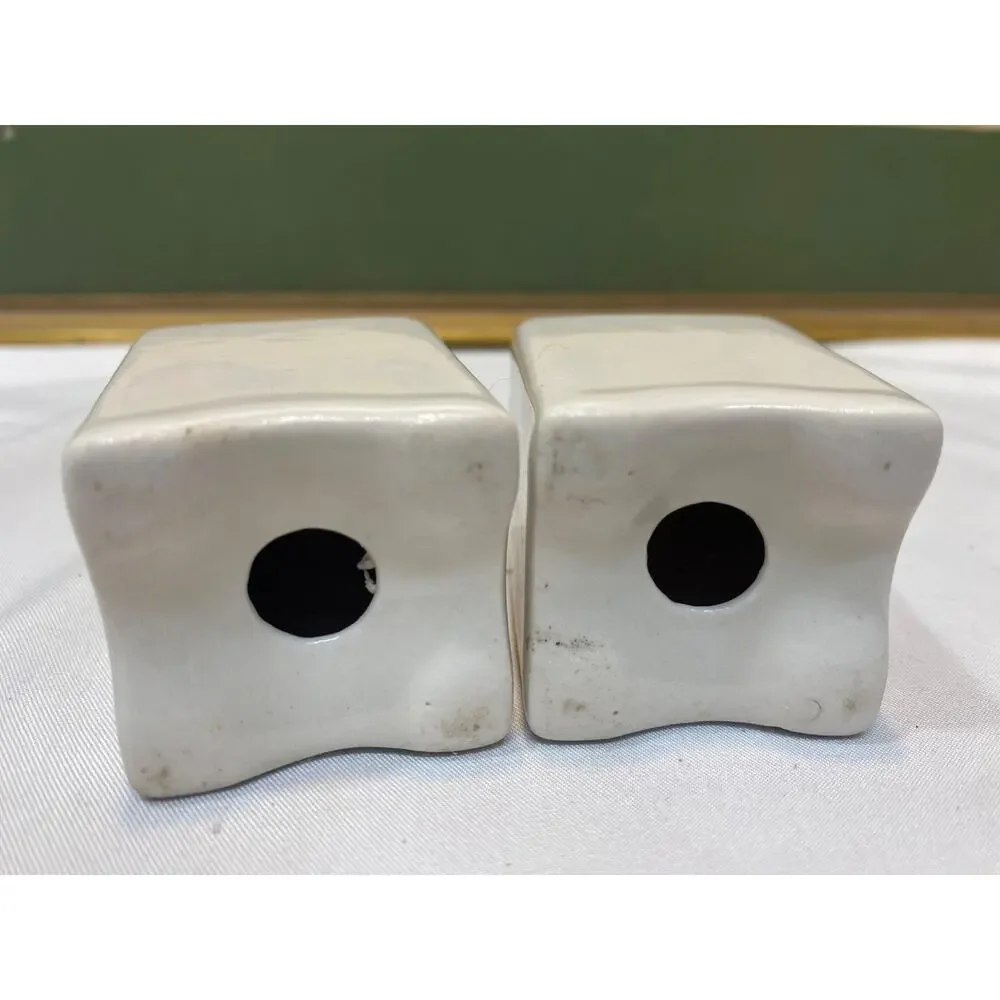 Vintage Jamestown College North Dakota Salt & Pepper Shaker Pair